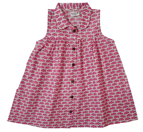 Snowflakes Girls Frock With Pink Hippo Prints- White