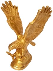 Golden Eagle Hawk Statue Showpiece : Brass Figurine For Home Or Office Table (10951A)