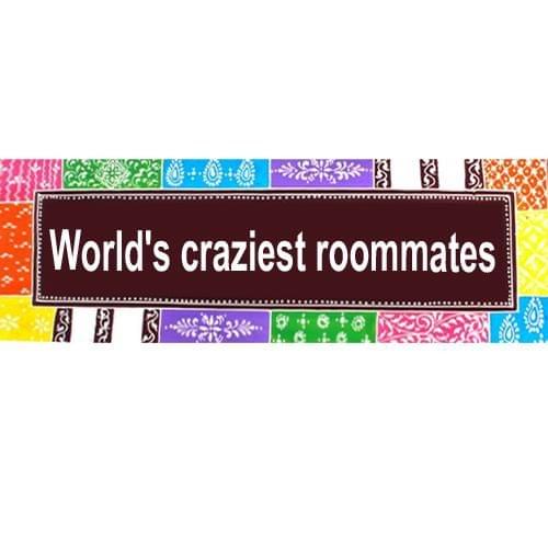 Painted Wooden wall art "World's Craziest Roommates"