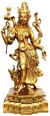 Ardhanarishwar Half Shiva Half Parvati Solid Pure Brass Statue (10683)