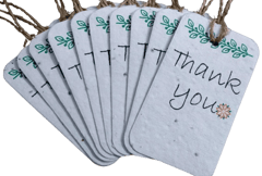 Plantable Seed Paper Gift Tags For Return Gifts: Pack Of 10 Eco Friendly Bio-degradable Cards (12693D)