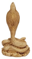Resin Figurine King Cobra Nag Snake: Collectible Showpiece Statue (12716)