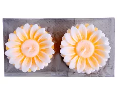 decorative Set of 2 floating candles 3 inch 4 hour burning in a gift box for Diwali gift (10399)