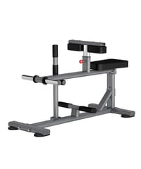 Insight Fitness DR011 SEATED CALF RAISE
