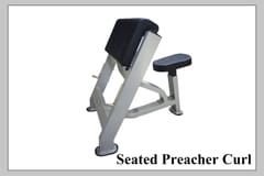 Seated Preacher Curl Bench