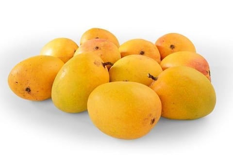 Ratnagiri Alphonso Mangoes | Organic and GI Certified Premium Quality Hapus Mango