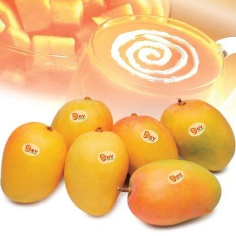 Devgad Alphonso Mangoes | Organic and GI Certified Premium Quality Hapus Mango