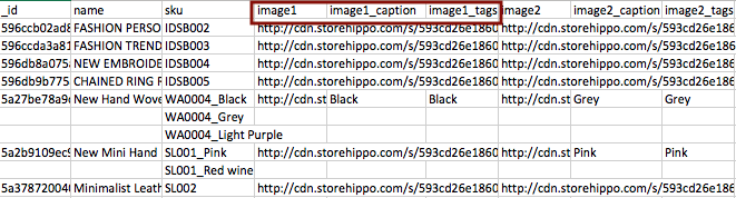 image in csv