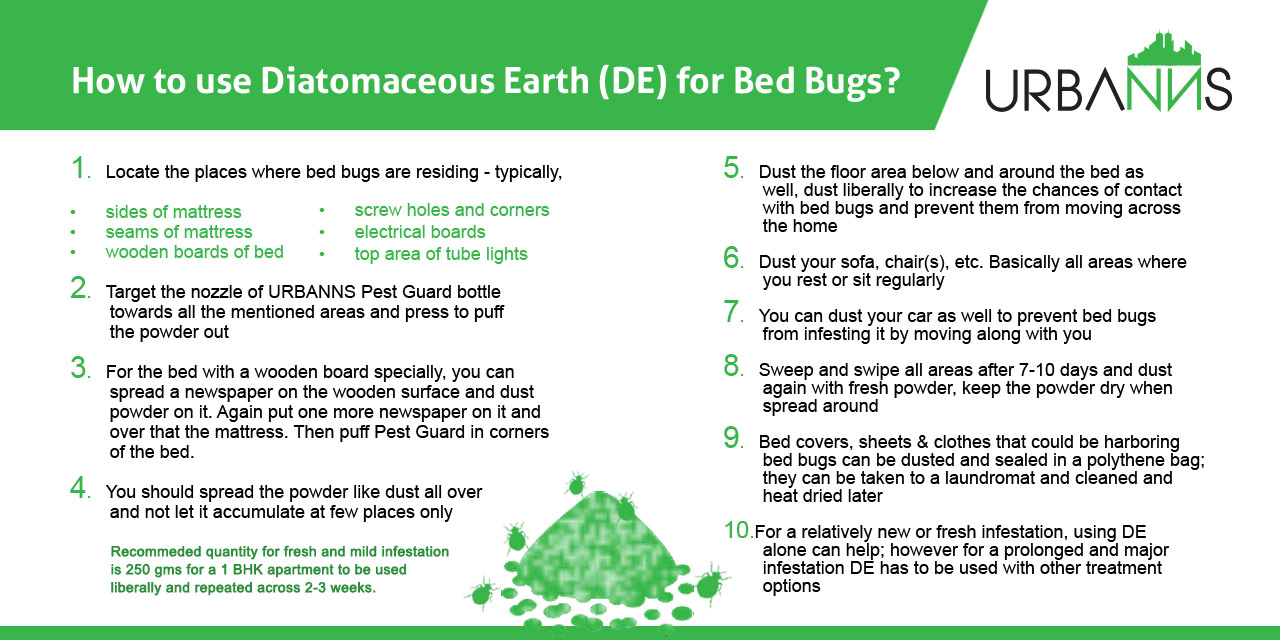 how to treat bed bugs