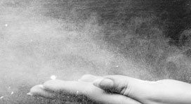 Diatomaceous Earth Bed Bug Powder Dust