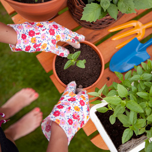 Organic Farming using Natural Fertilizers based on Diatomaceous Earth