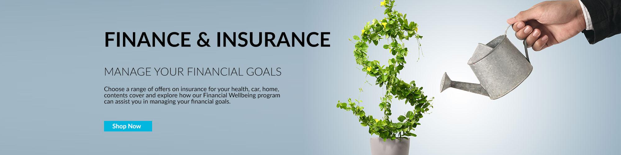 Finance and Insurance