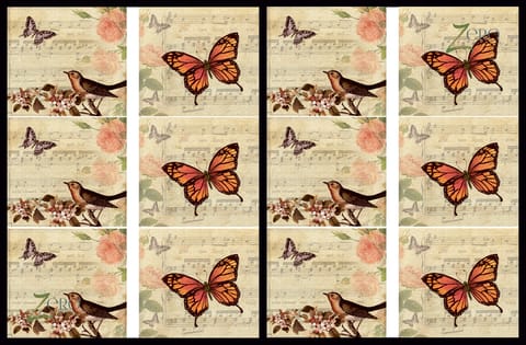 Brand Zero Luxury Speciality Decoupage Paper - Bird & Butterfly