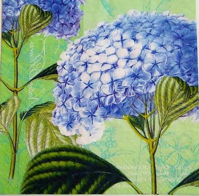 Decoupage Napkin / Tissue papers -  33cm by 33cm - Hydrangea