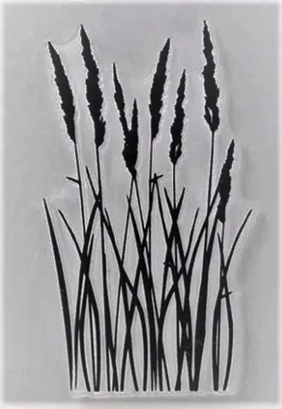 Clear Stamps Imported -  Grass Flower bunches 6.5cm * 9.0cm