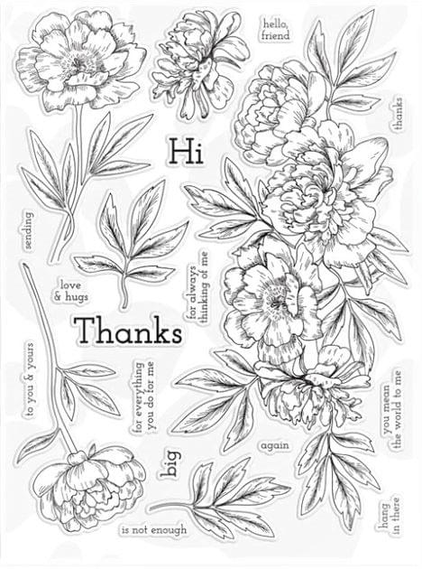 Clear Stamps Imported - Lovely Flowers And Leaves with Quots 15cm * 18cm