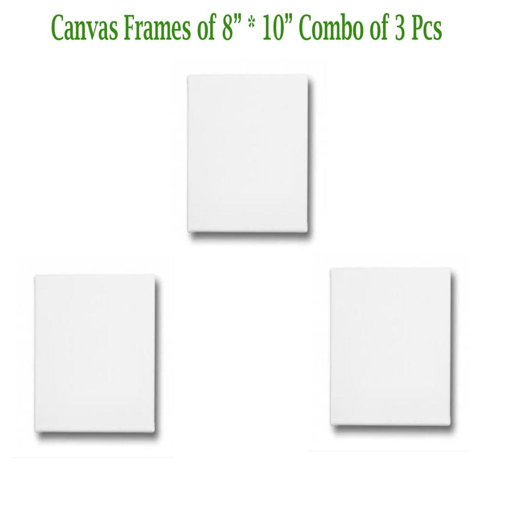Canvas Frame 8" *10" Combo of 3 Pieces