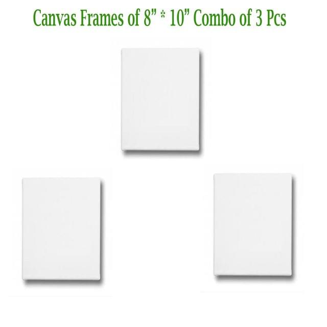 Canvas Frame 8" *10" Combo of 3 Pieces