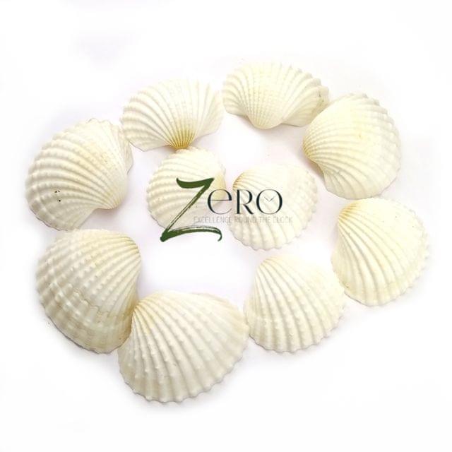 Brand Zero - White Big Curved Scallops Seashells - 50 Gms