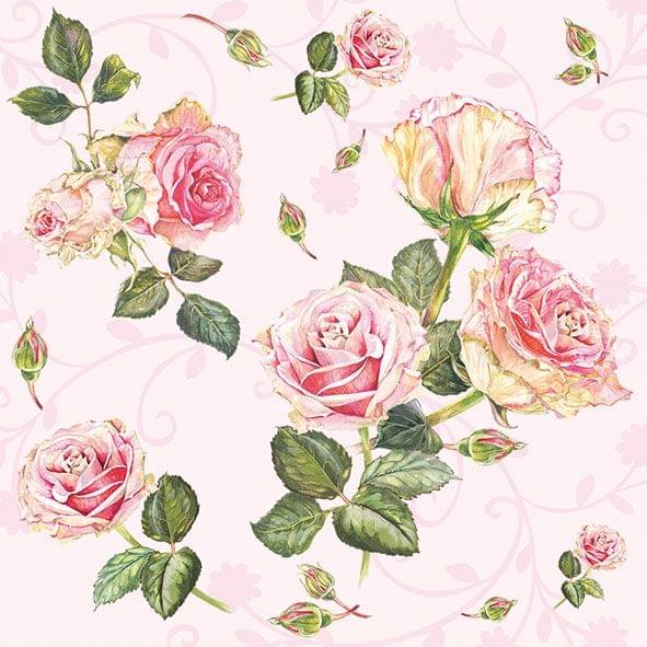 Decoupage Napkin / Tissue papers - 33cm by 33cm - GT3253