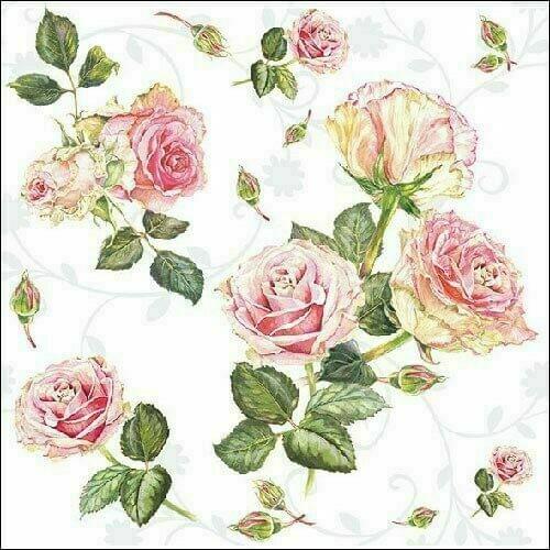 Decoupage Napkin / Tissue papers - 33cm by 33cm - GT3254