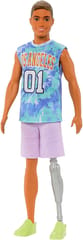 boy losangel  Barbie Ken Fashionista Doll 3