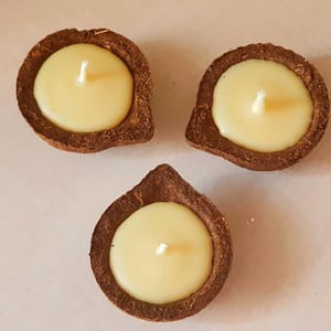 Five Element Diya with Pure Cow Ghee (Set of 12)