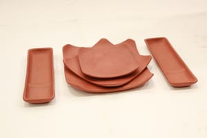 Square Plate Set Of 5 With Roll Tray