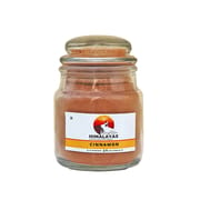 Cinnamon Powder - 50 gms (Pack of 3)