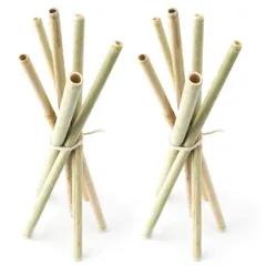 Bamboo Straws - Combo Pack of 12