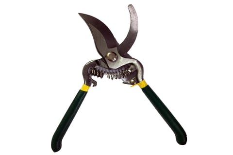 Gardening Scissor/Pruning Shear, Flower Cutter, Leaf Cutter for Potted Plants- 8"