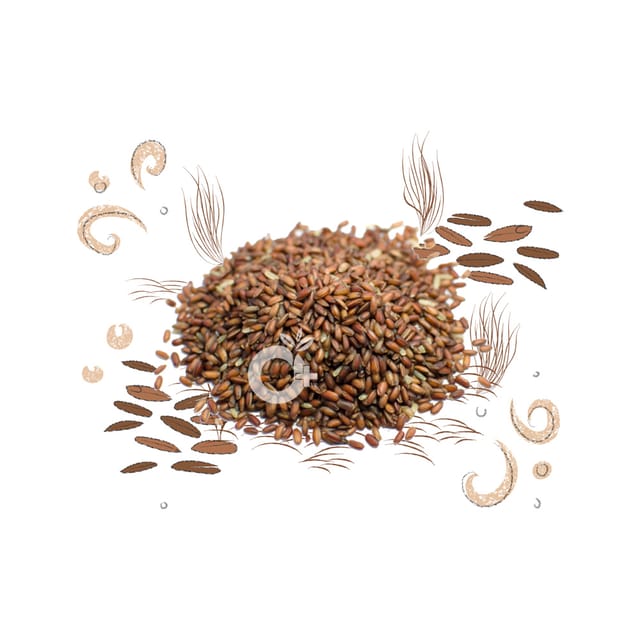 Organic Positive - Poongar Rice- Poongar Arisi