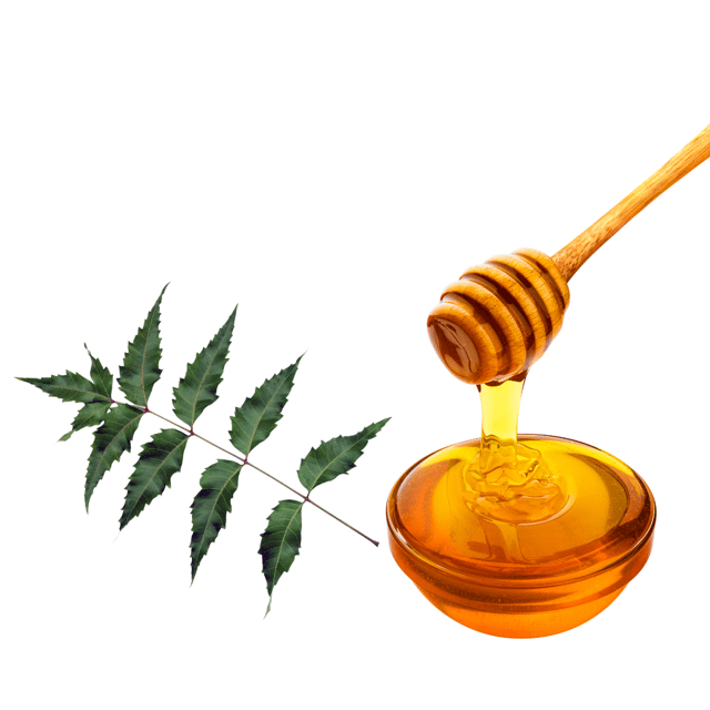 Homes & Hills - Pure neem Honey - 250 gms