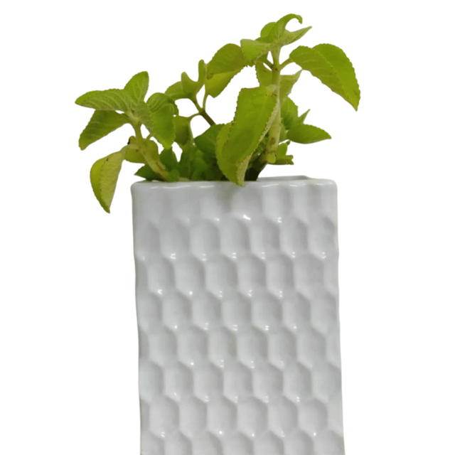Clay it - Plant pots