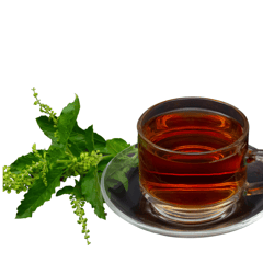 Organic Positive - TULSI SOUP MIX