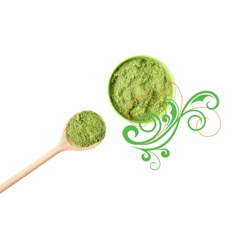 Organic Positive -  MUDAKATTHAN POWDER