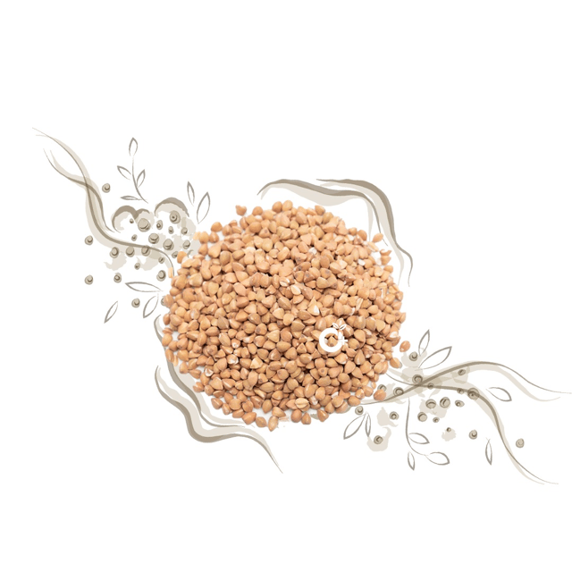Organic Positive - BUCKWHEAT