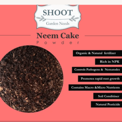 ARTium- Neem Cake Powder