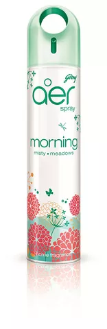Godrej aer Home Air Freshener Spray - Morning Misty Meadows- 300 ml Godrej aer Home Air Freshener Spray - Morning Misty Meadows- 300 ml