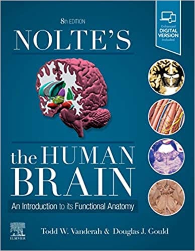 Nolte's The Human Brain: An Introduction to its Functional Anatomy 8th Edition 2020 by Todd Vanderah