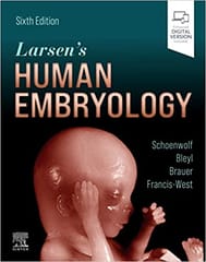 Larsen's Human Embryology 6th Edition 2021 By Schoenwolf