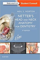 Netters Head And Neck Anatomy For Dentistry 3rd Edition 2017 By Norton N S