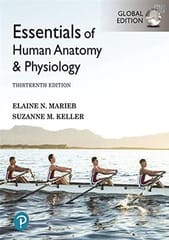 Essentials of Human Anatomy and Physiology Global 13th Edition by Marieb E N
