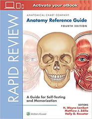Rapid Review Anatomy Reference Guide A Guide For Self Testing And Memorization 4th Edition 2018 By Lambert H W