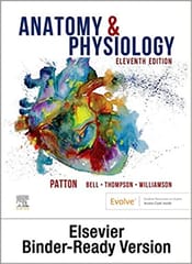 Anatomy & Physiology - Binder/AC/BriefAtl 11th Edition 2022 By Patton