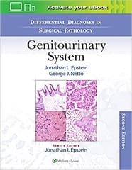 Epstein J I Differential Diagnoses In Surgical Pathology Genitourinary System 2nd Edition 2022