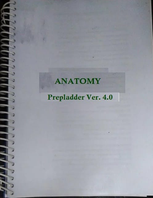Anatomy Prepladder Ver. 4.0