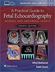 Abuhamad A Z A Practical Guide To Fetal Echocardiography Normal And Abnormal Hearts 4th Edition 2022