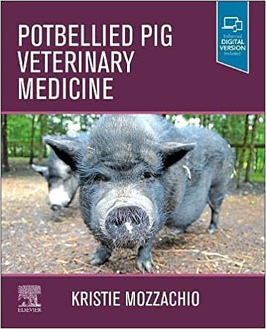 Mozzachio Potbellied Pig Veterinary Medicine 1st Edition 2022