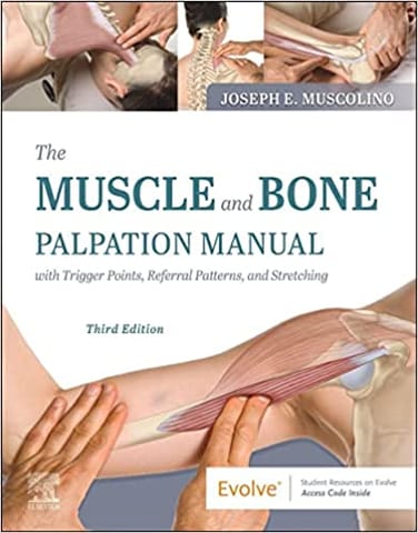 Muscolino The Muscle and Bone Palpation Manual with Trigger Points, Referral Patterns and Stretching 3rd Edition 2022